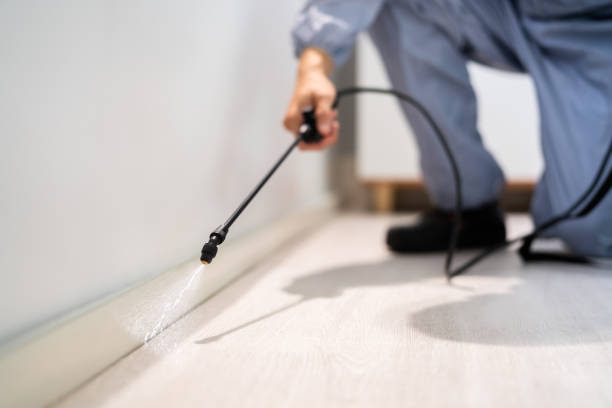 Licensed Exterminator service in Pana, IL - Show Me Pest Control